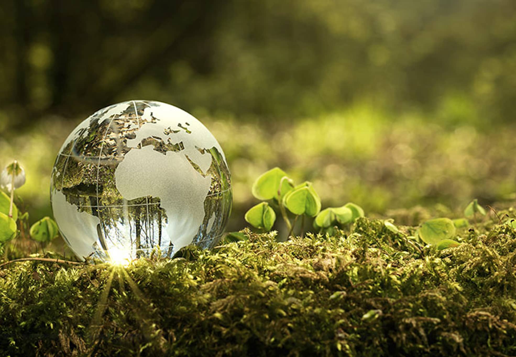 Investlogix Sustainable Procurement