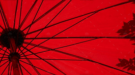 demo-attachment-1549-loic-furhoff-YERwza88a0o-unsplash@2x